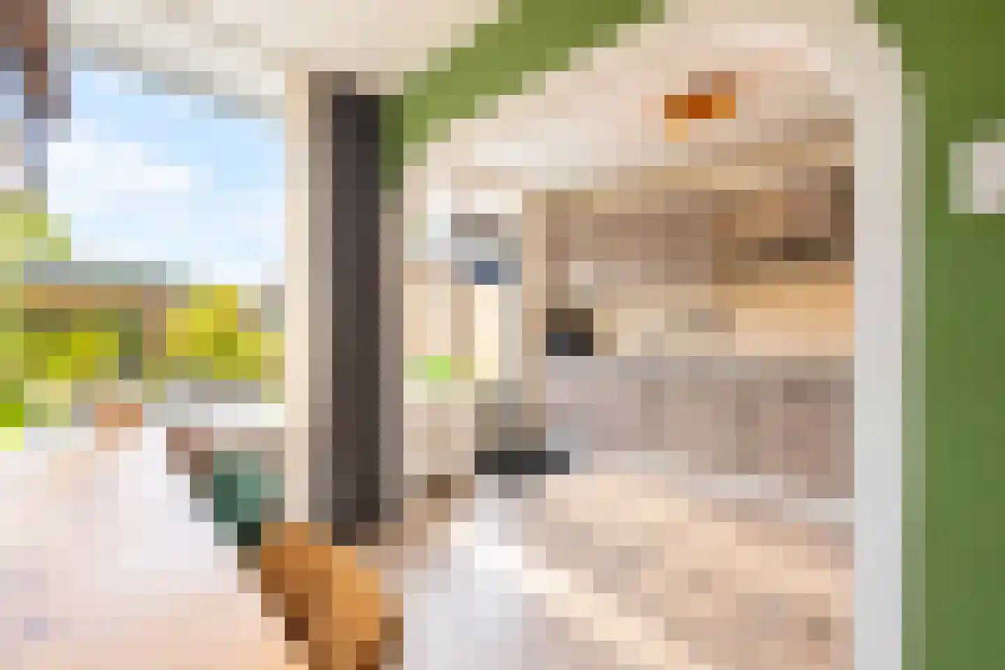 Rembrandt van Rijnstraat 30 Lienden thumbnail 23
