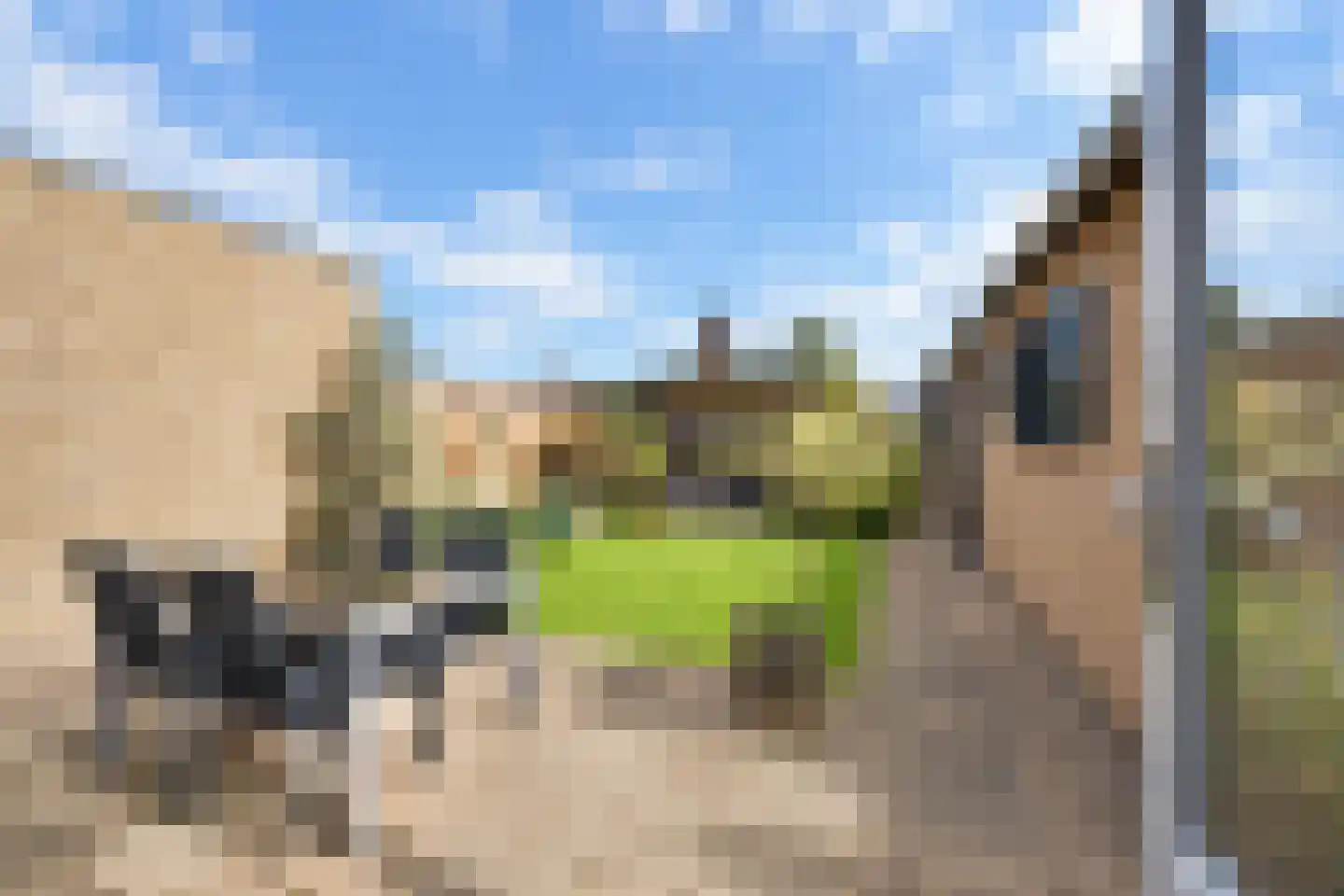 Rembrandt van Rijnstraat 30 Lienden thumbnail 25