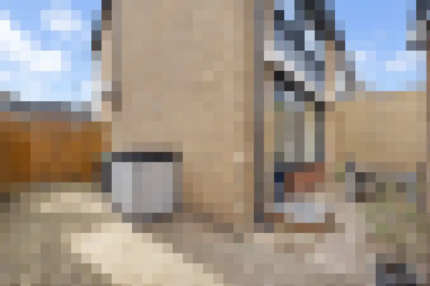 Rembrandt van Rijnstraat 30 Lienden thumbnail 27