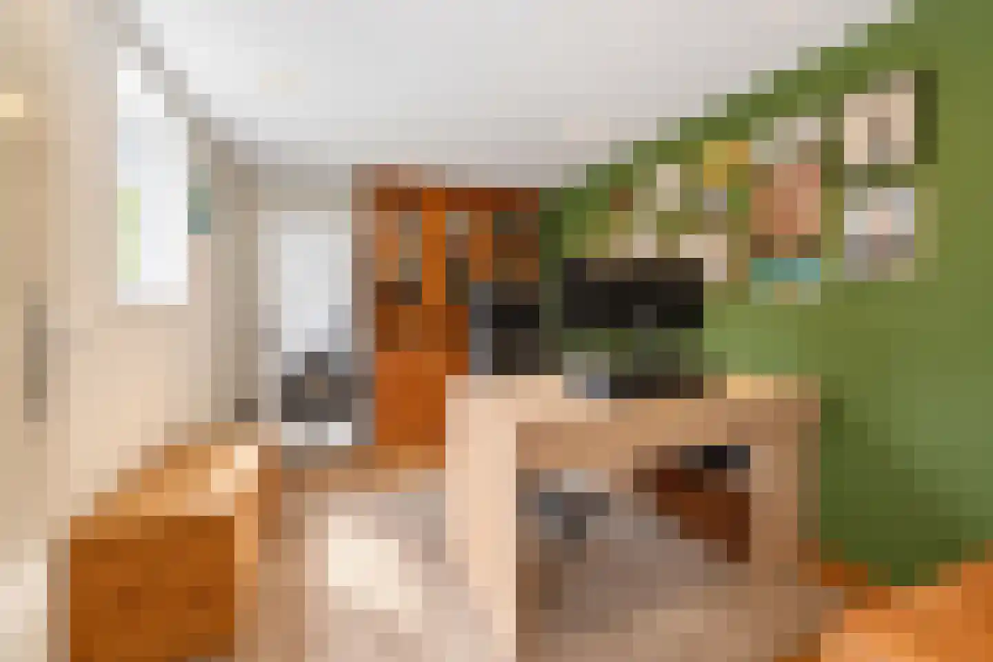 Rembrandt van Rijnstraat 30 Lienden thumbnail 31