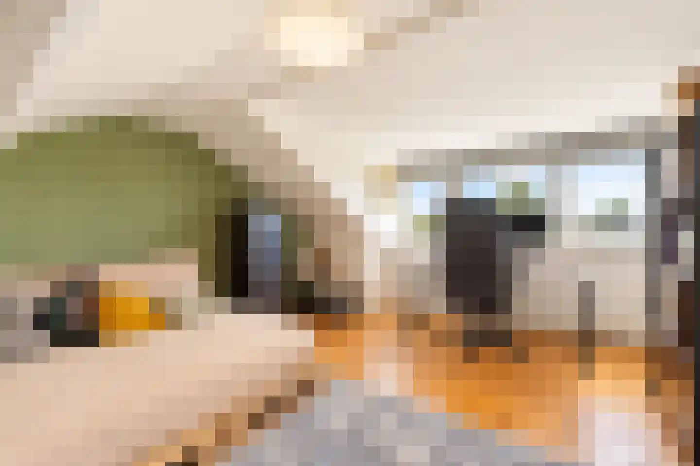 Rembrandt van Rijnstraat 30 Lienden thumbnail 56
