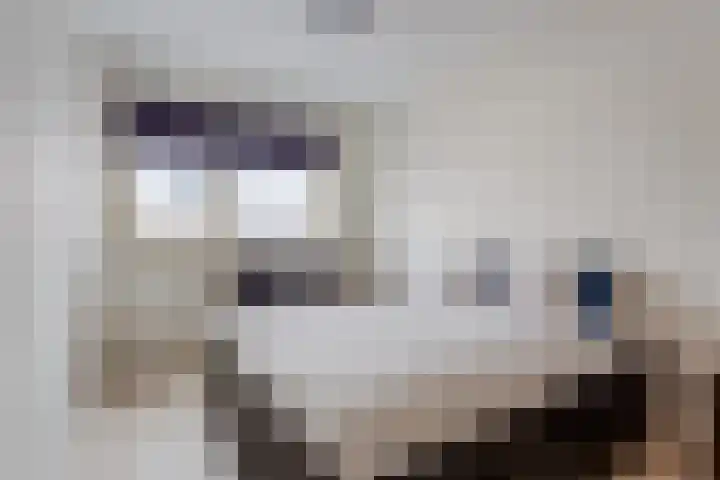 Rembrandt van Rijnstraat 38 Dronten thumbnail 15
