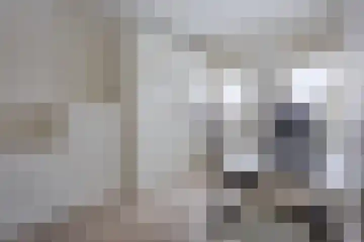 Rembrandt van Rijnstraat 38 Dronten thumbnail 18