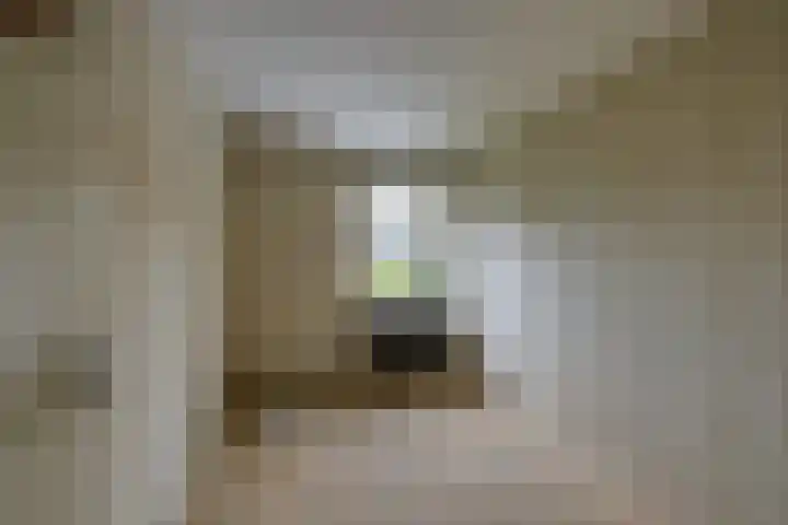 Rembrandt van Rijnstraat 38 Oisterwijk thumbnail 18