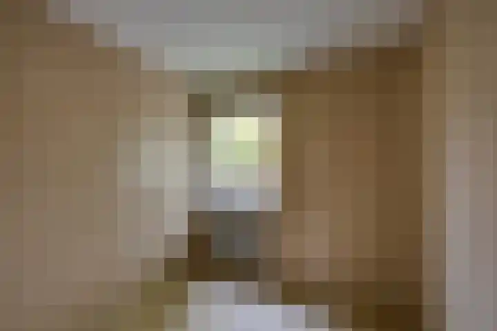 Rembrandt van Rijnstraat 38 Oisterwijk thumbnail 20