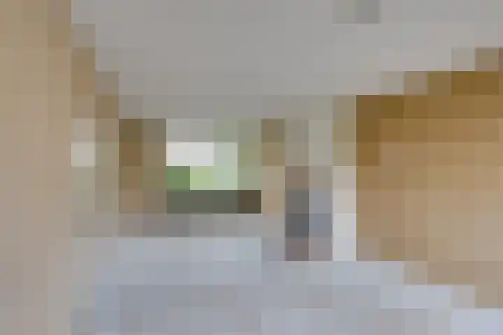 Rembrandt van Rijnstraat 38 Oisterwijk thumbnail 8