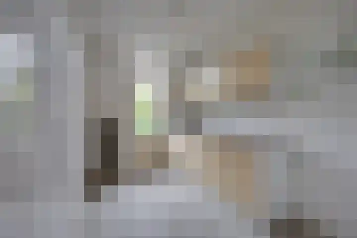 Rembrandt van Rijnstraat 38 Oisterwijk thumbnail 9
