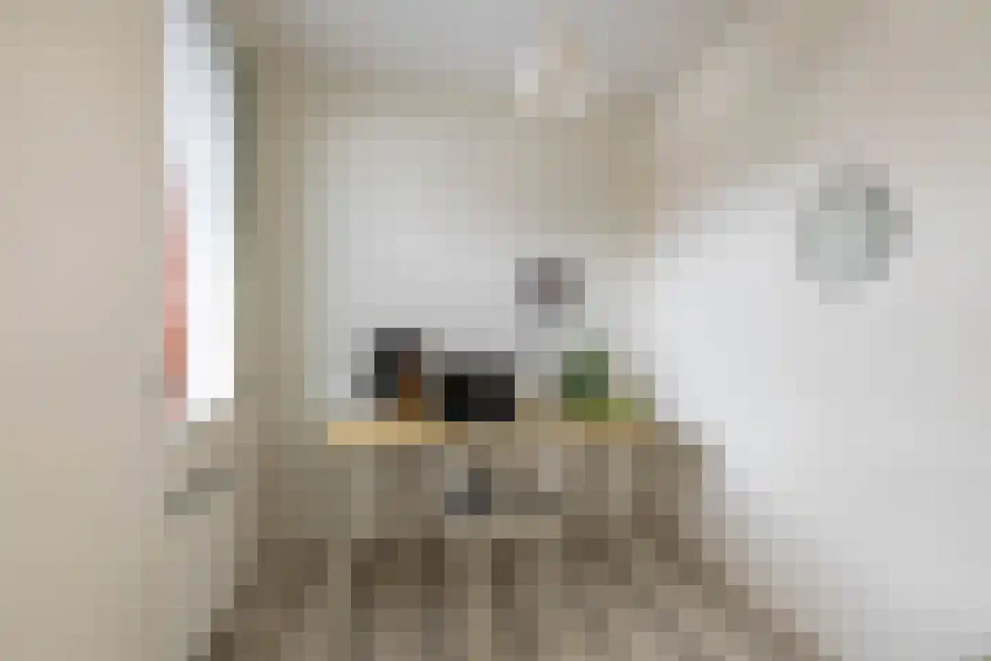 Rembrandt van Rijnstraat 45 Groningen thumbnail 31