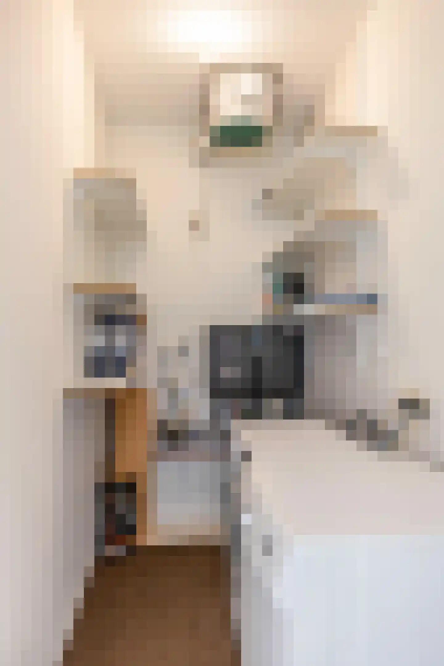 Rembrandt van Rijnstraat 45 Groningen thumbnail 36