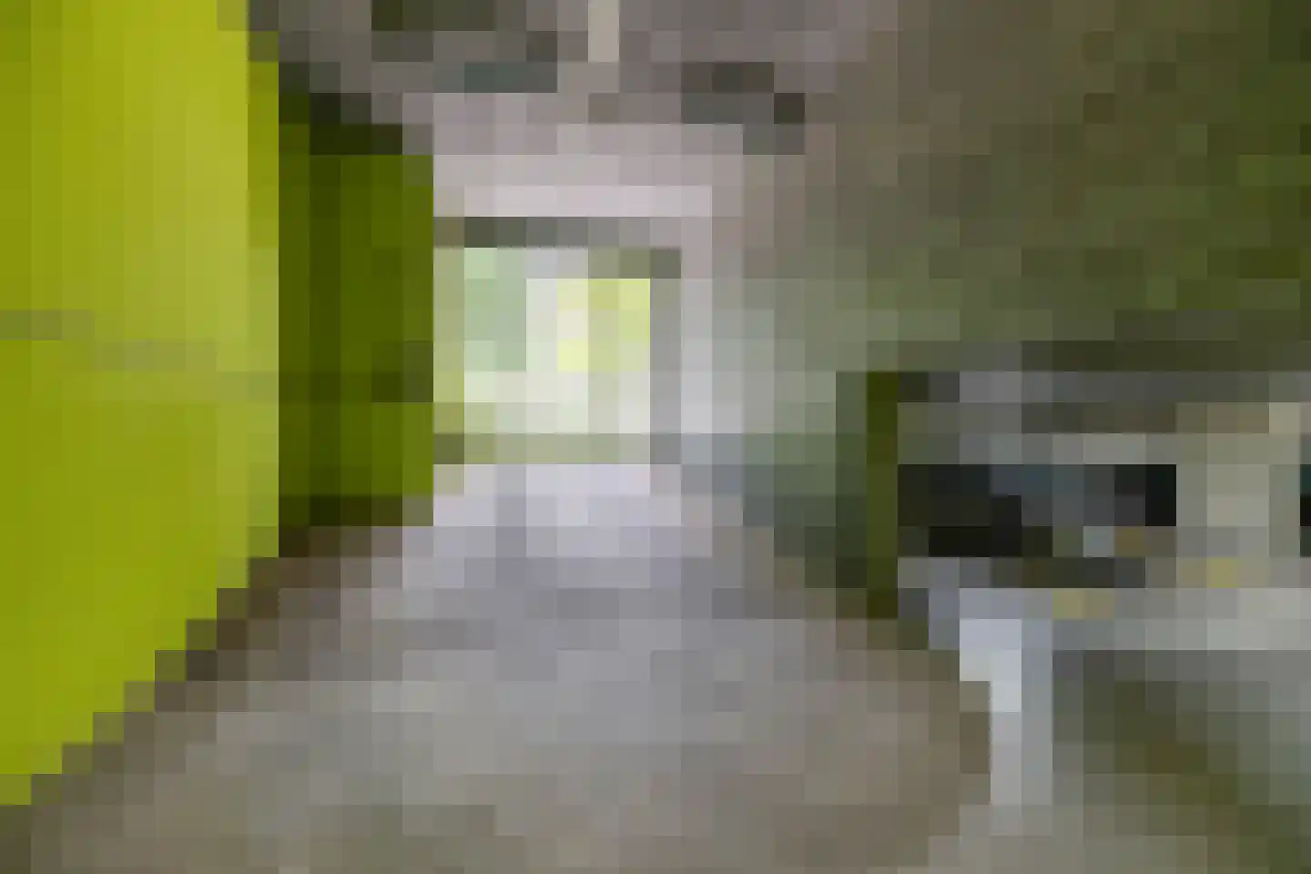 Rembrandt van Rijnstraat 45 Groningen thumbnail 40