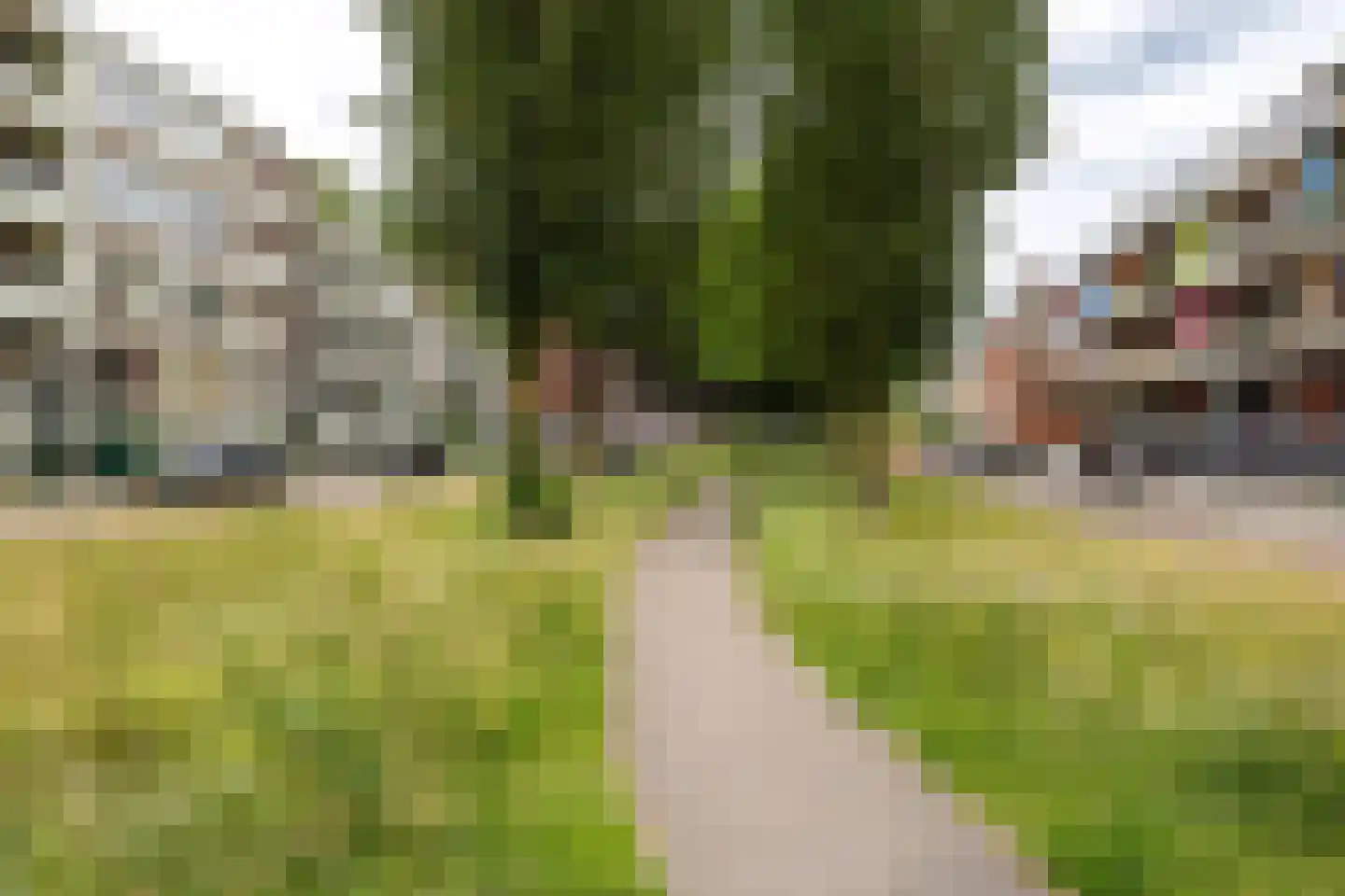 Rembrandt van Rijnstraat 45 Groningen thumbnail 41