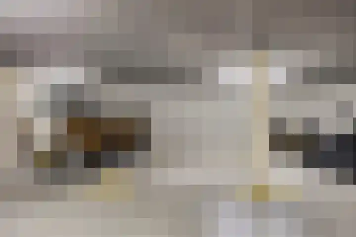 Rembrandt van Rijnstraat 47 Groningen thumbnail 38