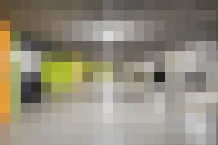 Rembrandt van Rijnstraat 47 Groningen thumbnail 39