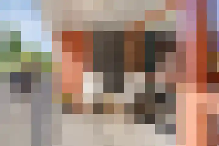 Rembrandt van Rijnstraat 47 Groningen thumbnail 4