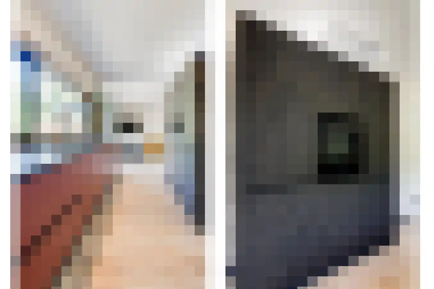 Rembrandt van Rijnstraat 47 Kerkrade thumbnail 11