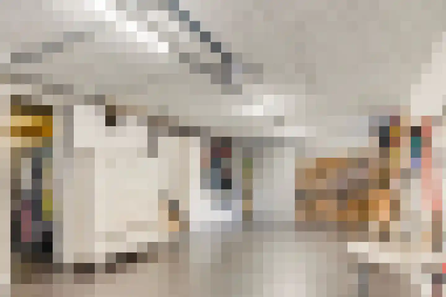 Rembrandt van Rijnstraat 47 Kerkrade thumbnail 20