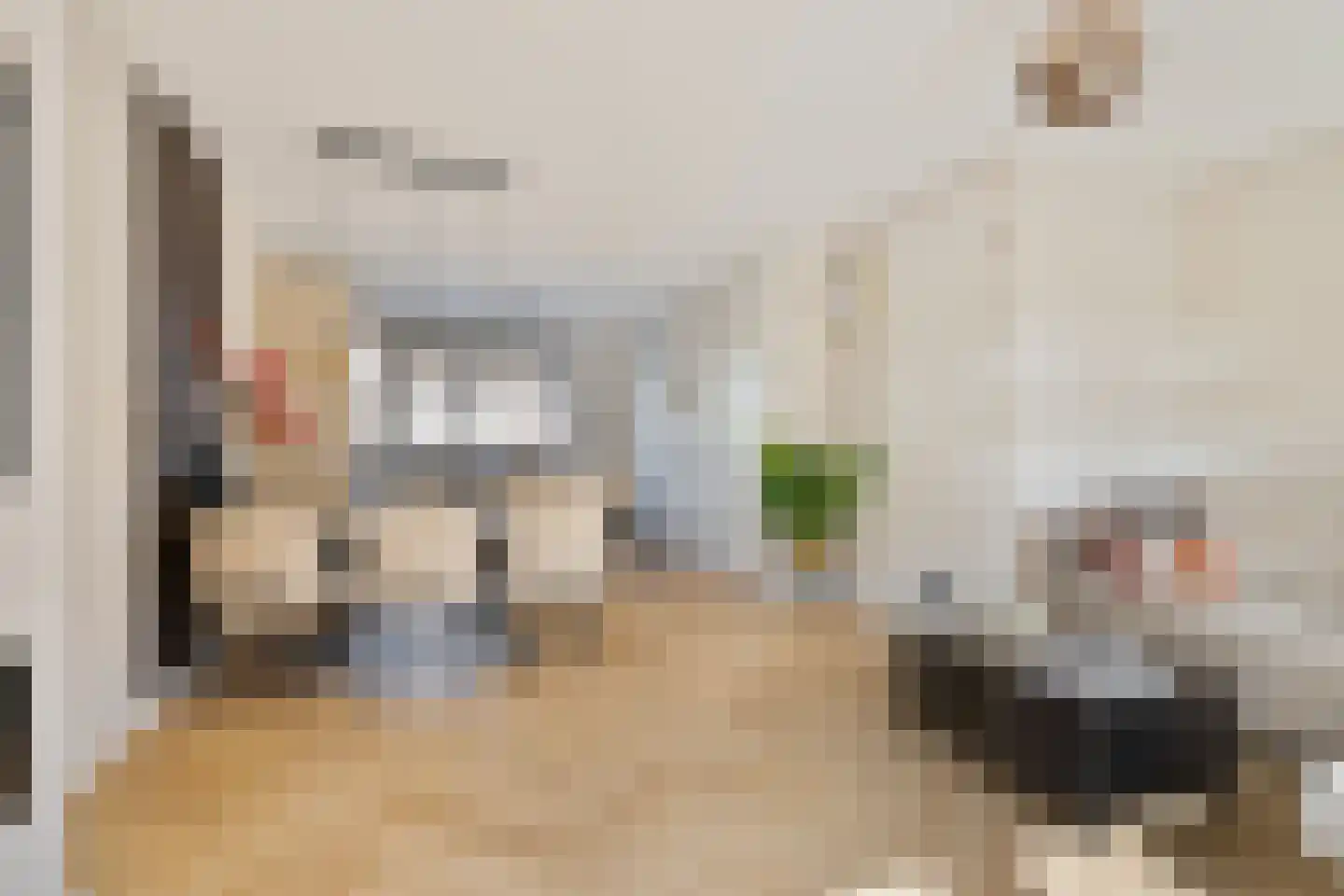 Rembrandt van Rijnstraat 6 Dronten thumbnail 12
