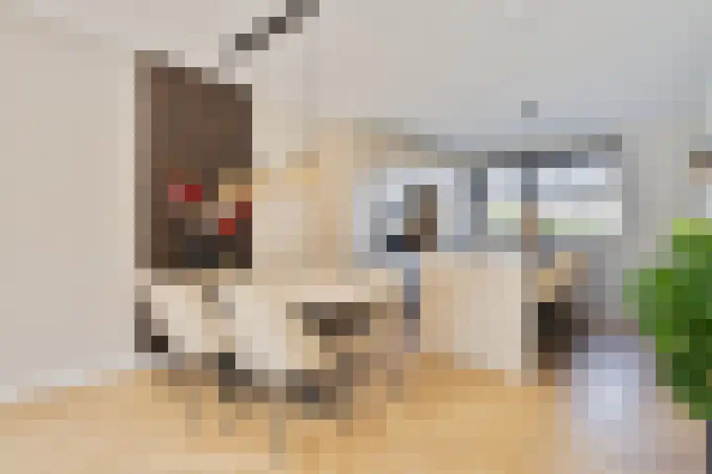 Rembrandt van Rijnstraat 6 Dronten thumbnail 14