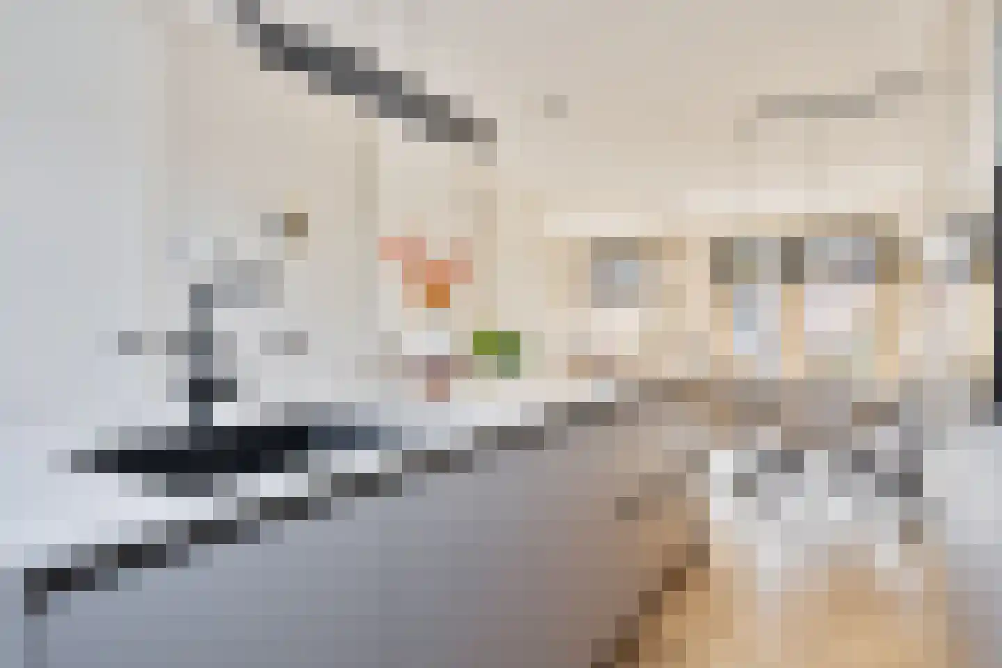 Rembrandt van Rijnstraat 6 Dronten thumbnail 17