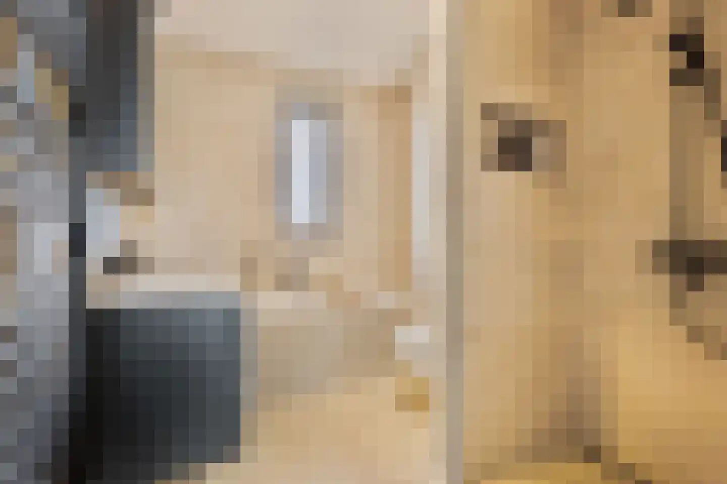 Rembrandt van Rijnstraat 6 Dronten thumbnail 22