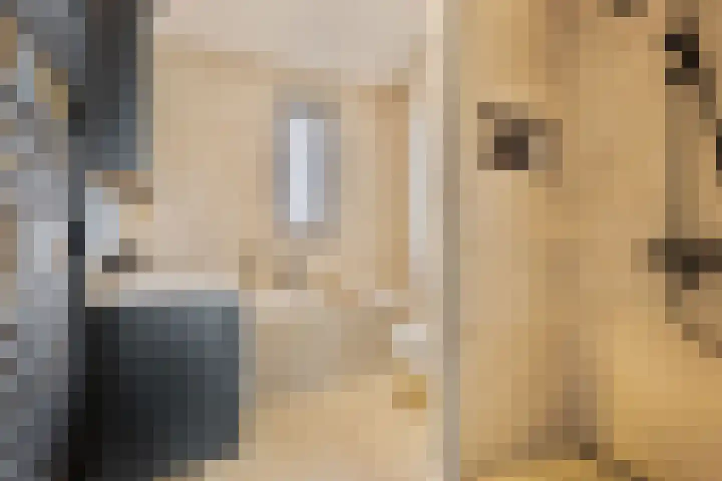 Rembrandt van Rijnstraat 6 Dronten thumbnail 4