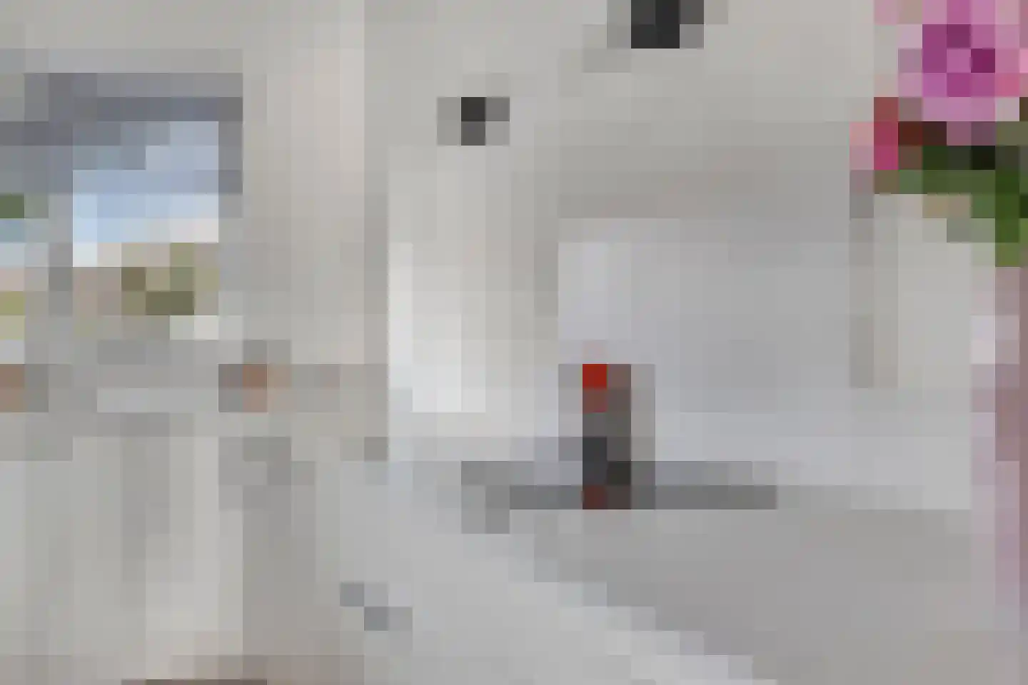Rembrandt van Rijnstraat 7 Boxmeer thumbnail 16