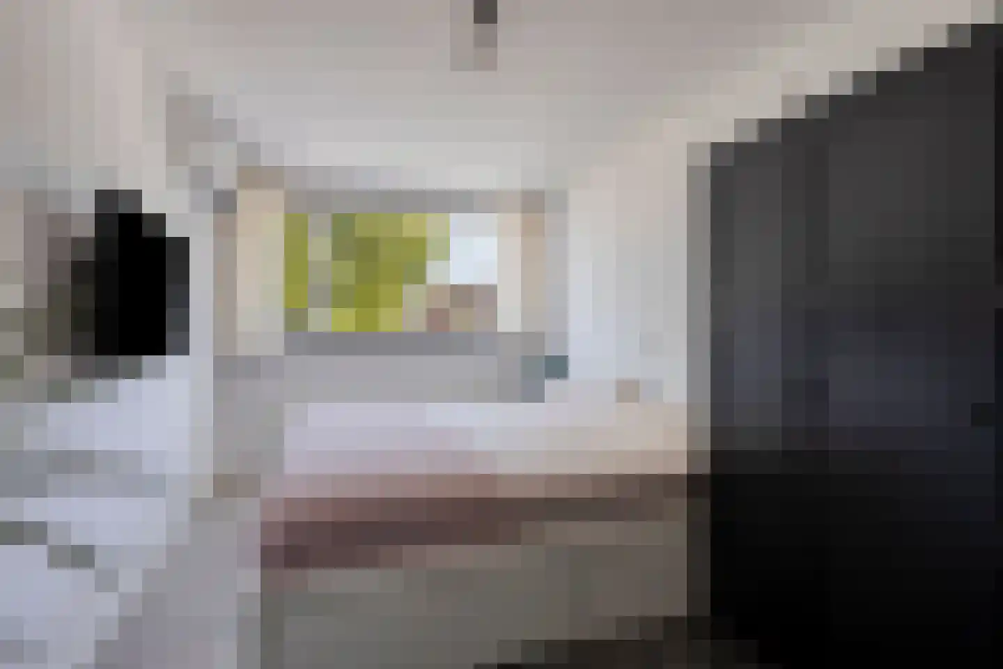 Rembrandt van Rijnstraat 7 Boxmeer thumbnail 21