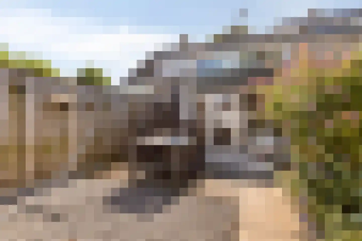 Rembrandt van Rijnstraat 7 Boxmeer thumbnail 29