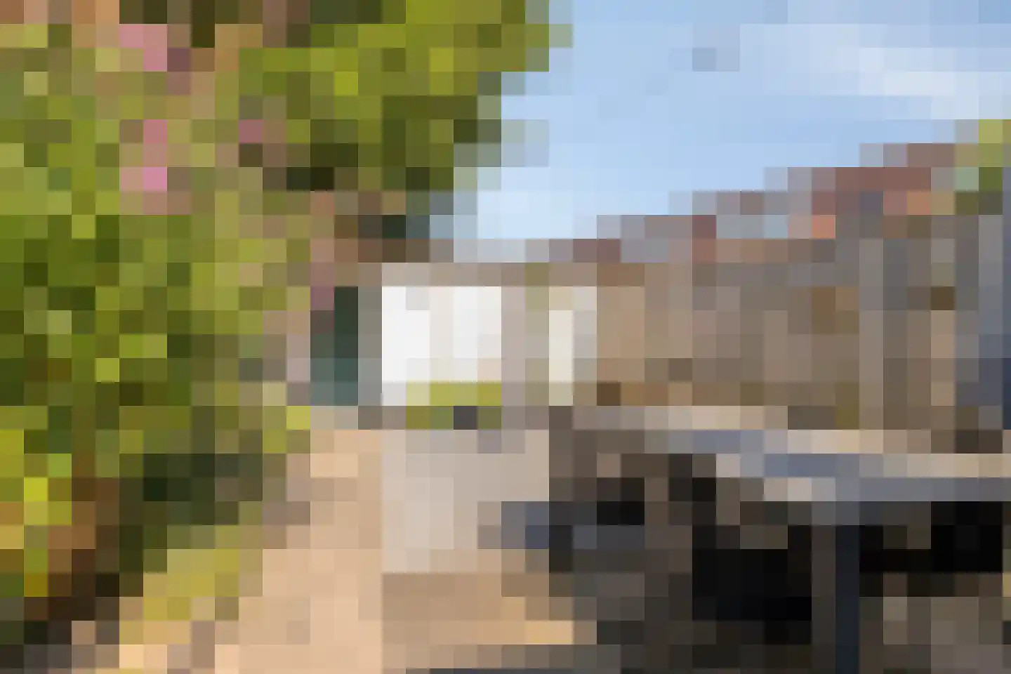 Rembrandt van Rijnstraat 7 Boxmeer thumbnail 6