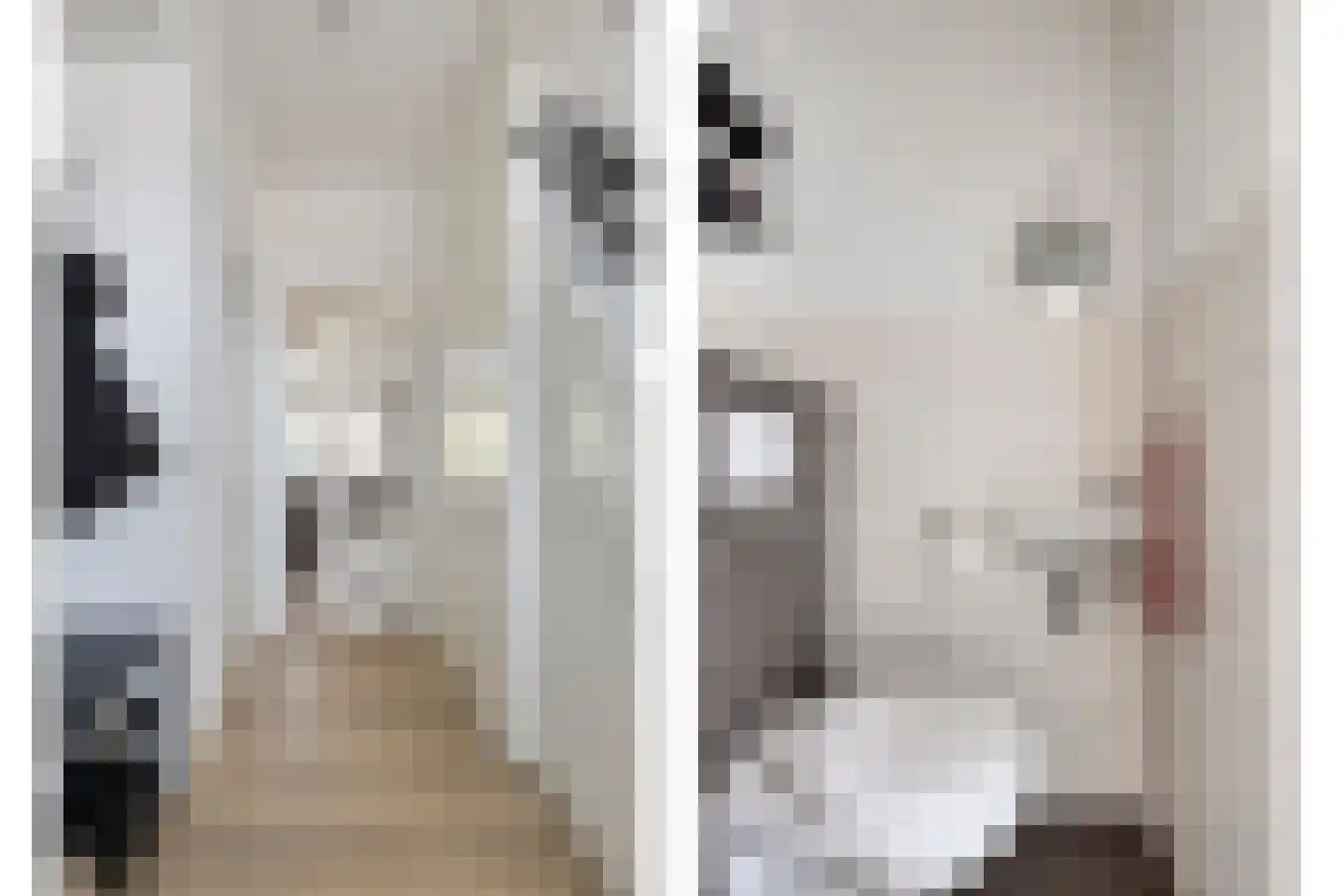Rembrandt van Rijnstraat 7 Boxmeer thumbnail 8