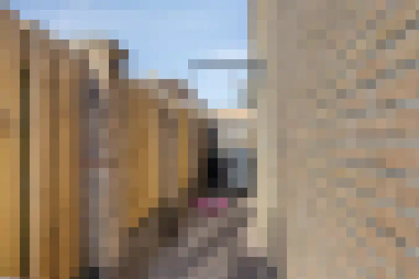 Rembrandt van Rijnstraat 7 Bunschoten-Spakenburg thumbnail 34