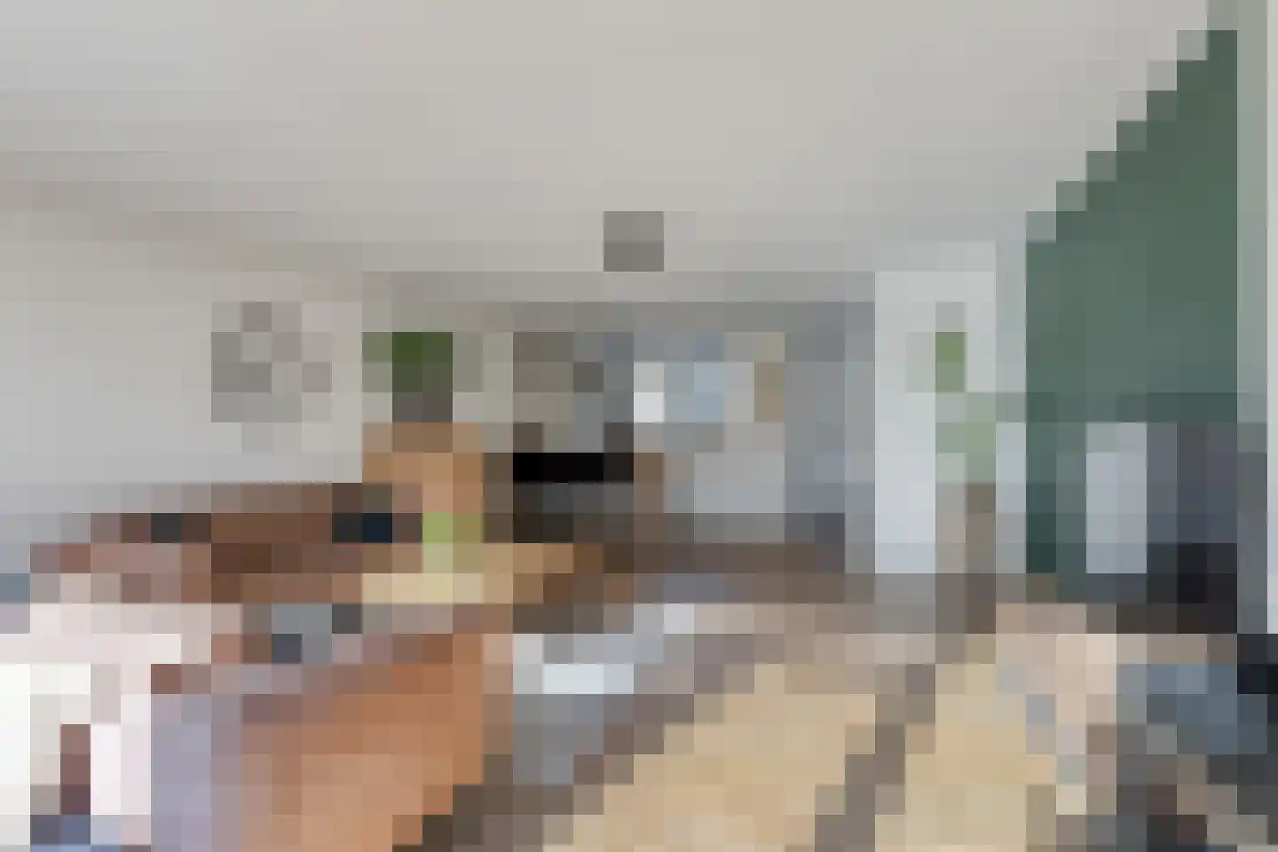Rembrandt van Rijnstraat 7 Bunschoten-Spakenburg thumbnail 4