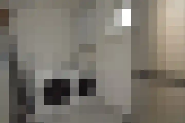 Rembrandt van Rijnstraat 8 Deurne thumbnail 12