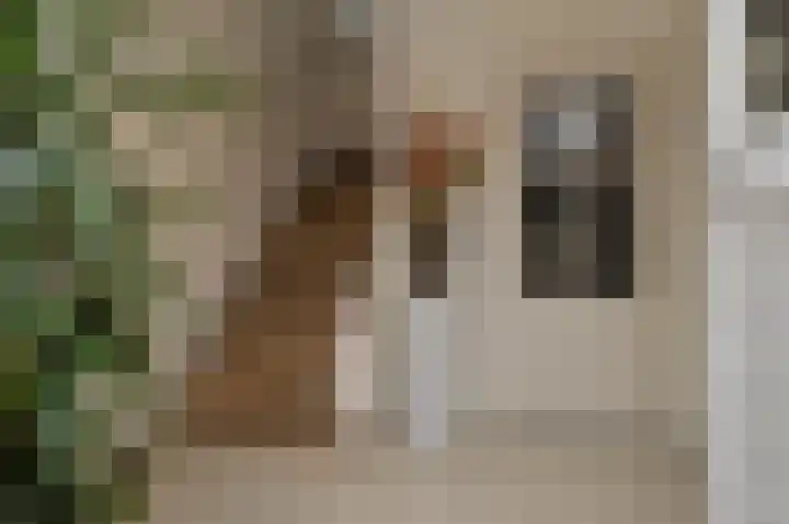 Rembrandt van Rijnstraat 8 Deurne thumbnail 14