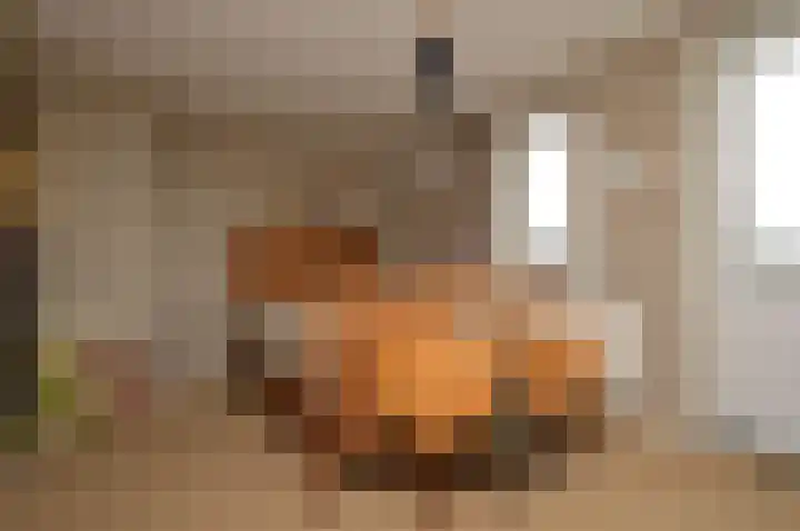 Rembrandt van Rijnstraat 8 Deurne thumbnail 17