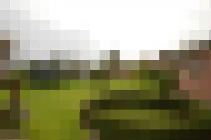 Rembrandt van Rijnstraat 8 Deurne thumbnail 26