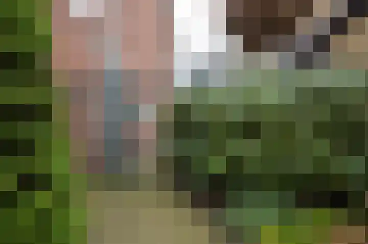 Rembrandt van Rijnstraat 8 Deurne thumbnail 30