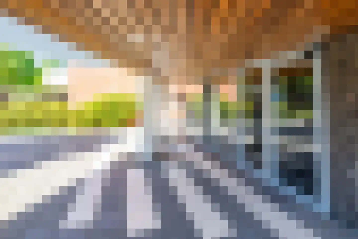 Rembrandthage 130 Nieuwegein thumbnail 35
