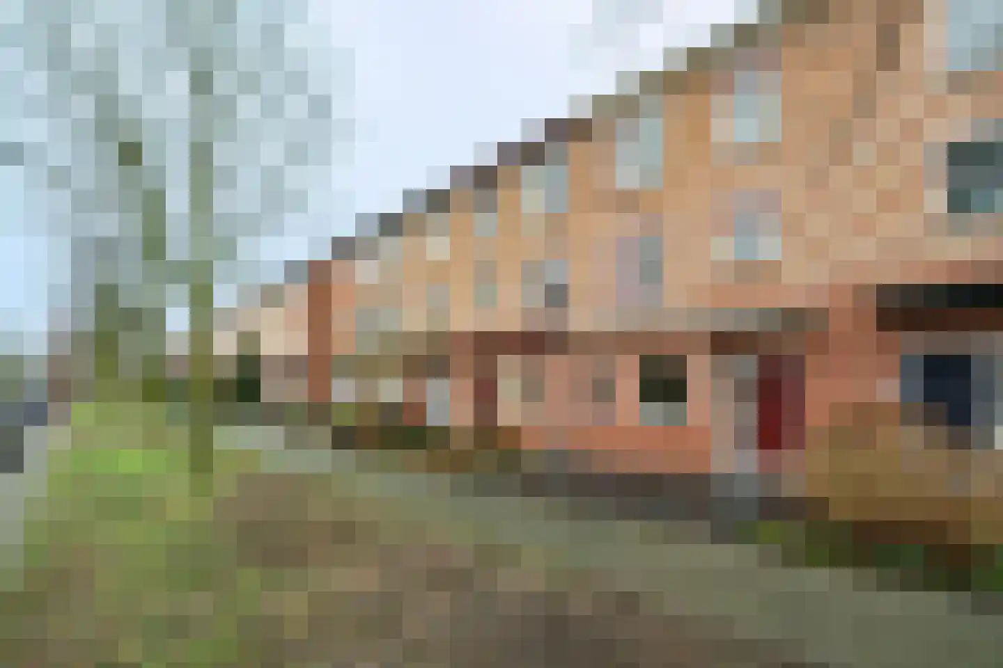 Rembrandthage 27 Nieuwegein foto 2