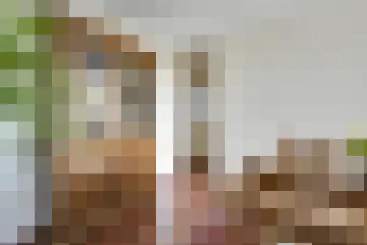 Rembrandthage 52 Nieuwegein thumbnail 17