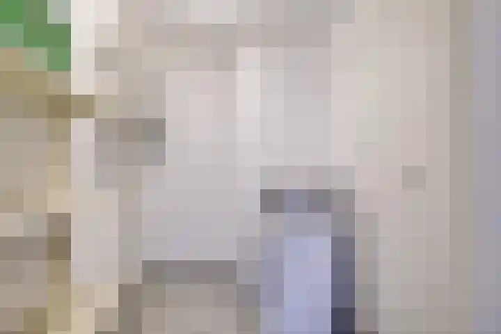 Rembrandthage 52 Nieuwegein thumbnail 19