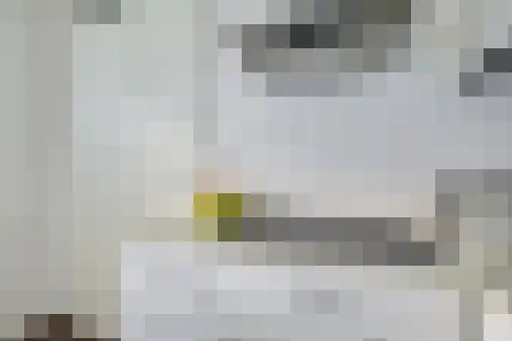 Rembrandthage 52 Nieuwegein thumbnail 24