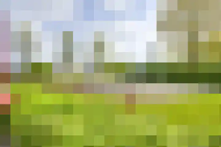 Rembrandthage 52 Nieuwegein thumbnail 46