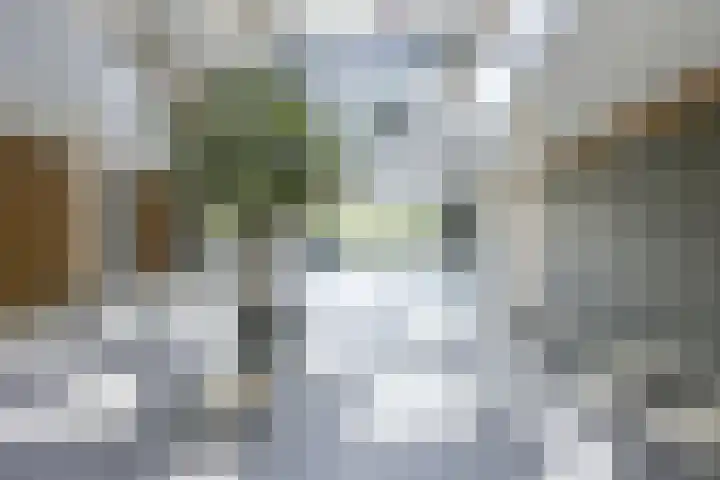 Rembrandthage 52 Nieuwegein thumbnail 54
