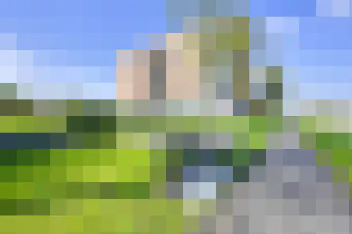 Rembrandthage 52 Nieuwegein thumbnail 63