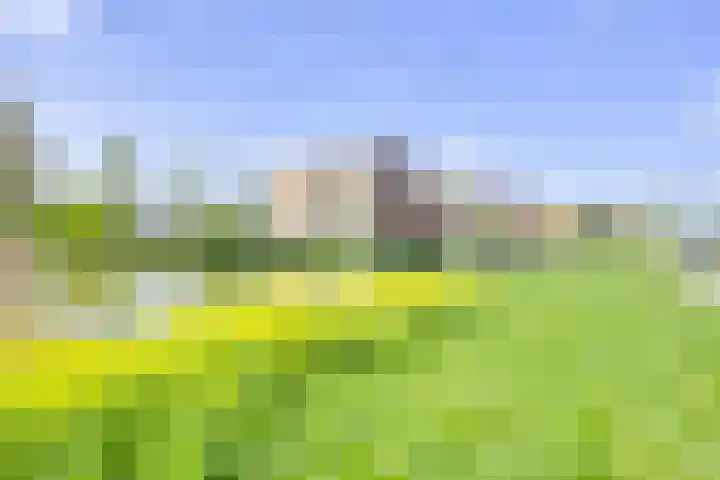 Rembrandthage 52 Nieuwegein thumbnail 66