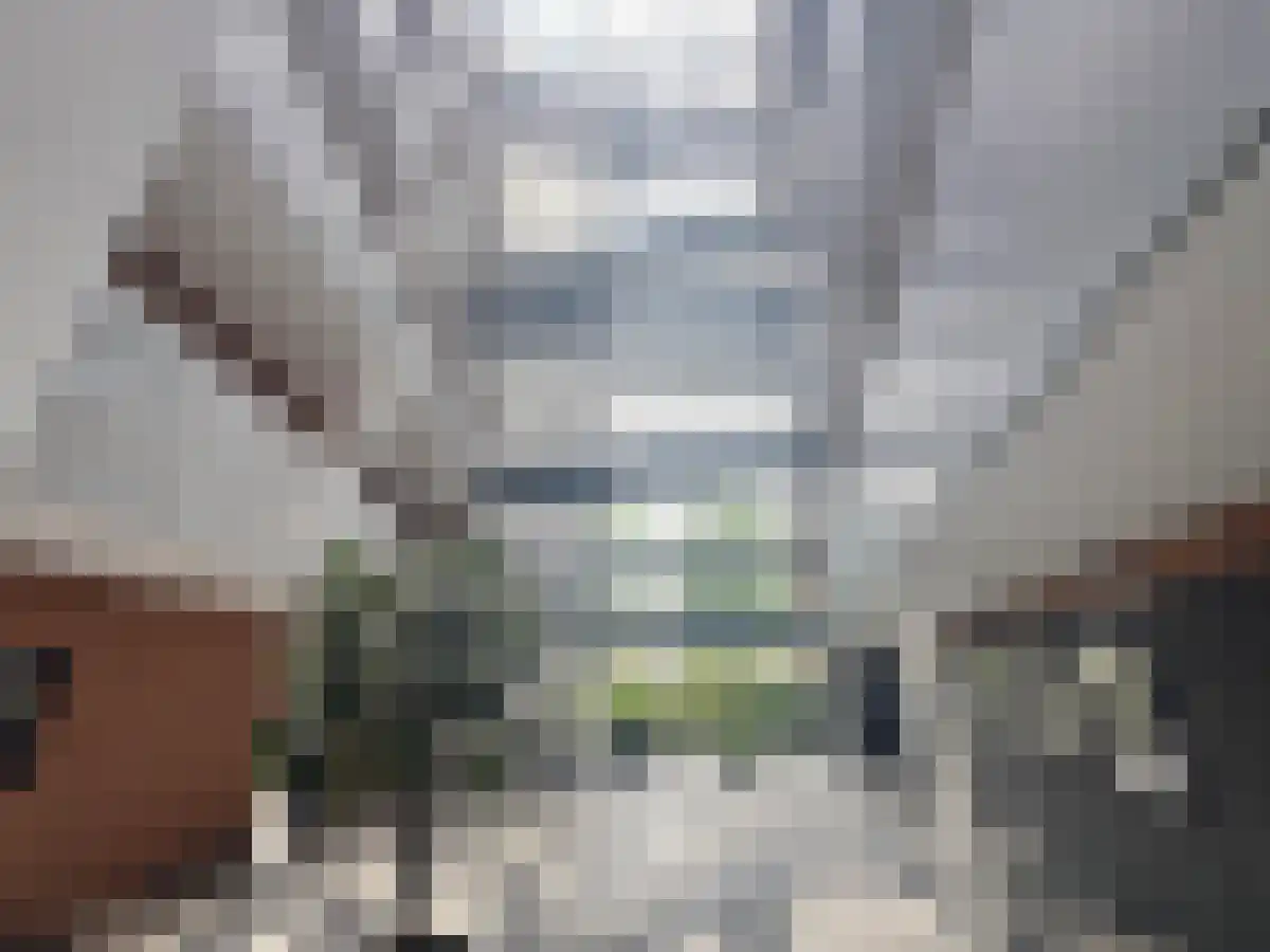 Rembrandthage 58 Nieuwegein thumbnail 6