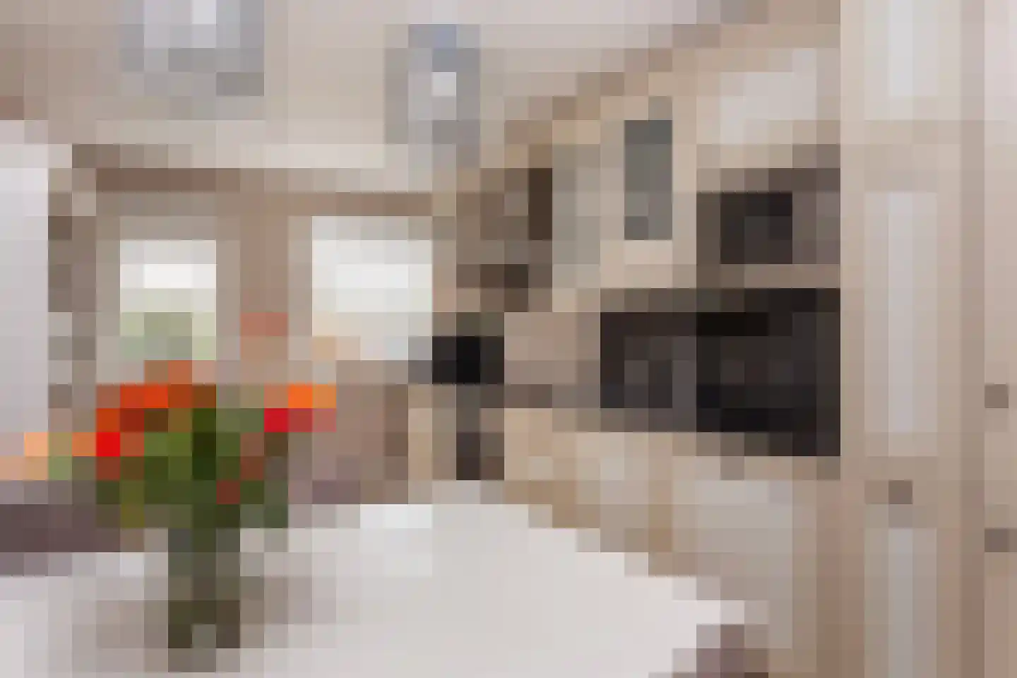 Rembrandthage 69 Nieuwegein thumbnail 10