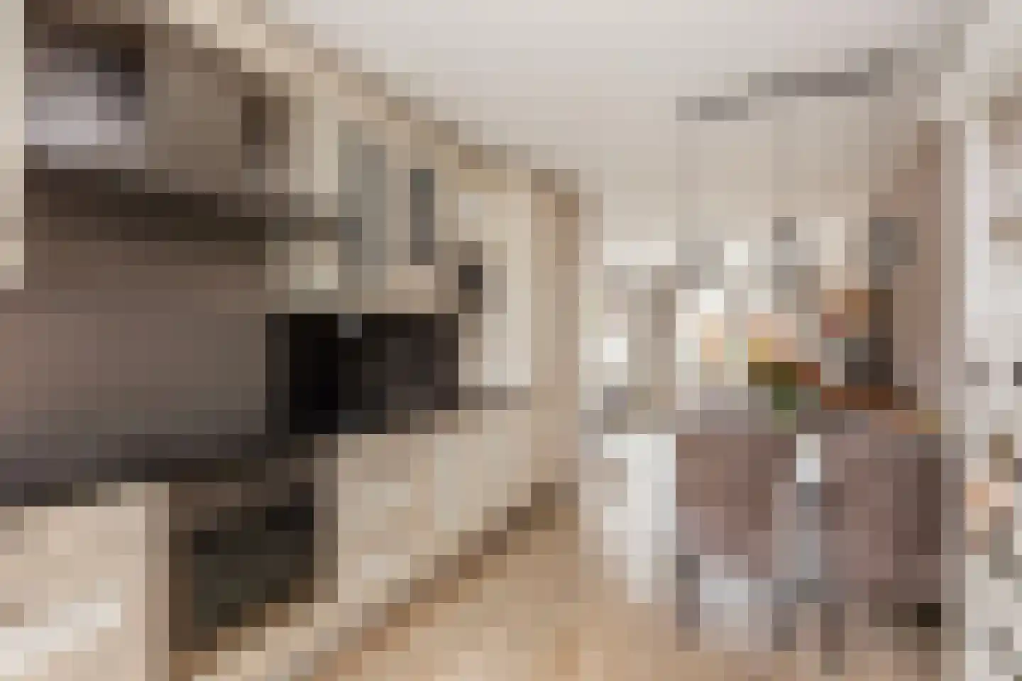 Rembrandthage 69 Nieuwegein thumbnail 11