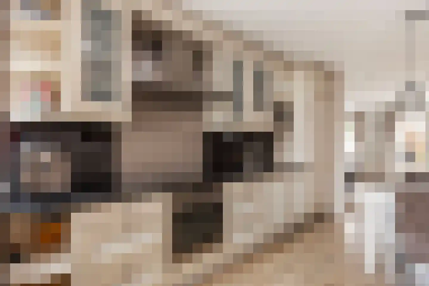 Rembrandthage 69 Nieuwegein thumbnail 12